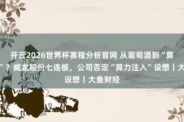 开云2026世界杯赛程分析官网 从葡萄酒到“算力见地”？威龙股份七连板，公司否定“算力注入”设想｜大鱼财经