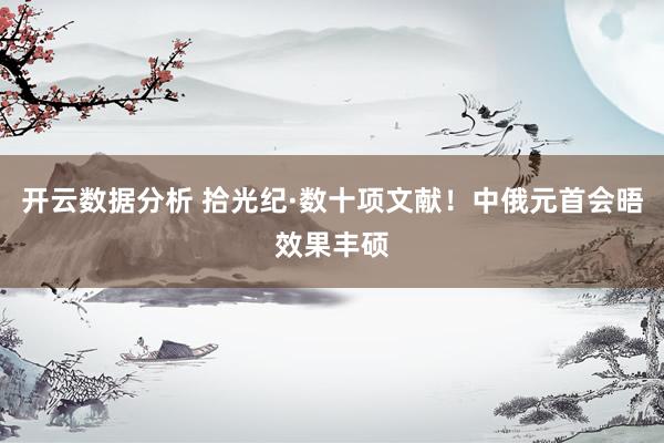 开云数据分析 拾光纪·数十项文献！中俄元首会晤效果丰硕