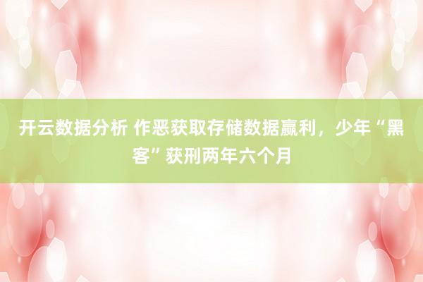 开云数据分析 作恶获取存储数据赢利，少年“黑客”获刑两年六个月