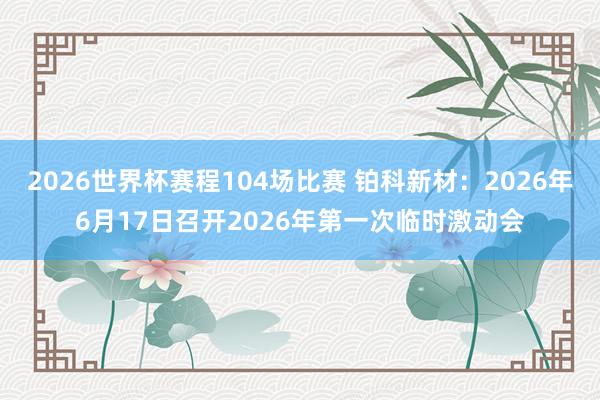 2026世界杯赛程104场比赛 铂科新材：2026年6月17日召开2026年第一次临时激动会