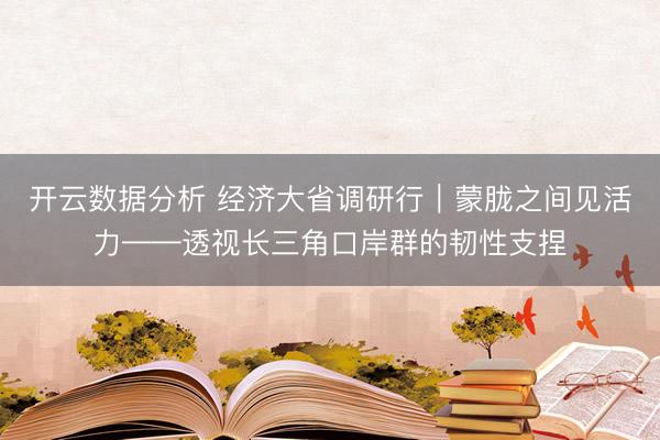 开云数据分析 经济大省调研行｜蒙胧之间见活力——透视长三角口岸群的韧性支捏